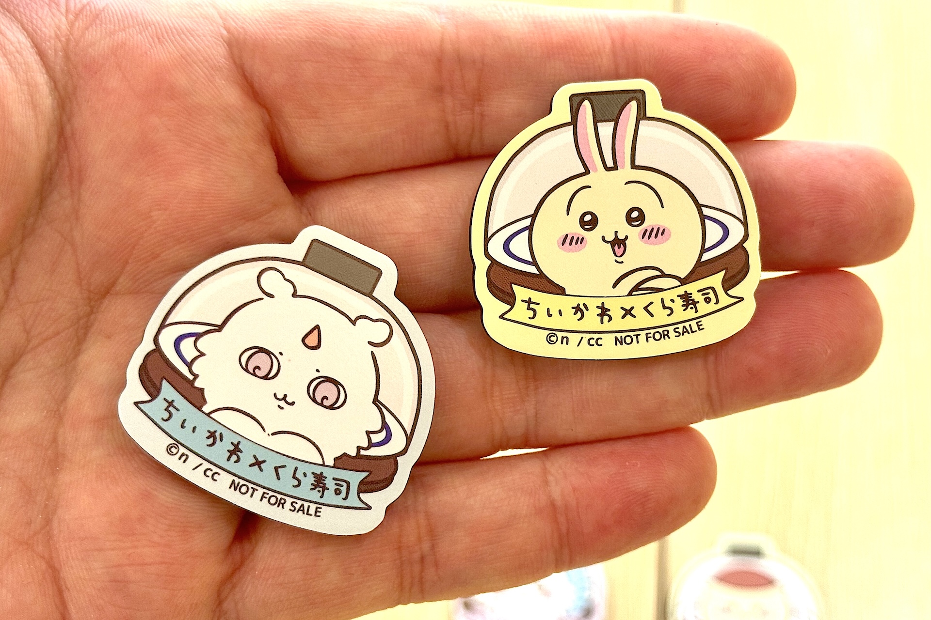 手のひらにのせてみると大きさはこれくらい