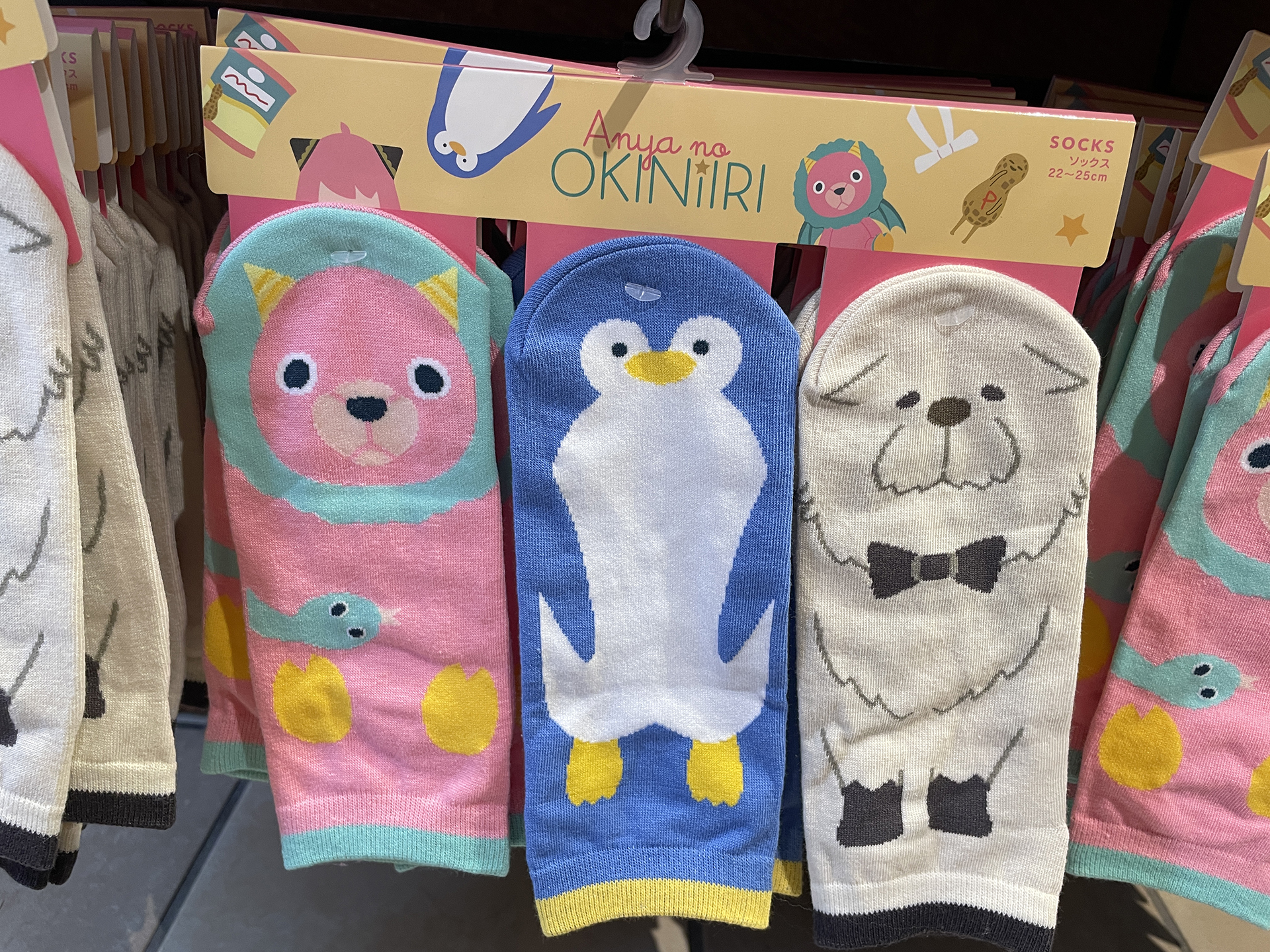 靴下セット（2,900円）