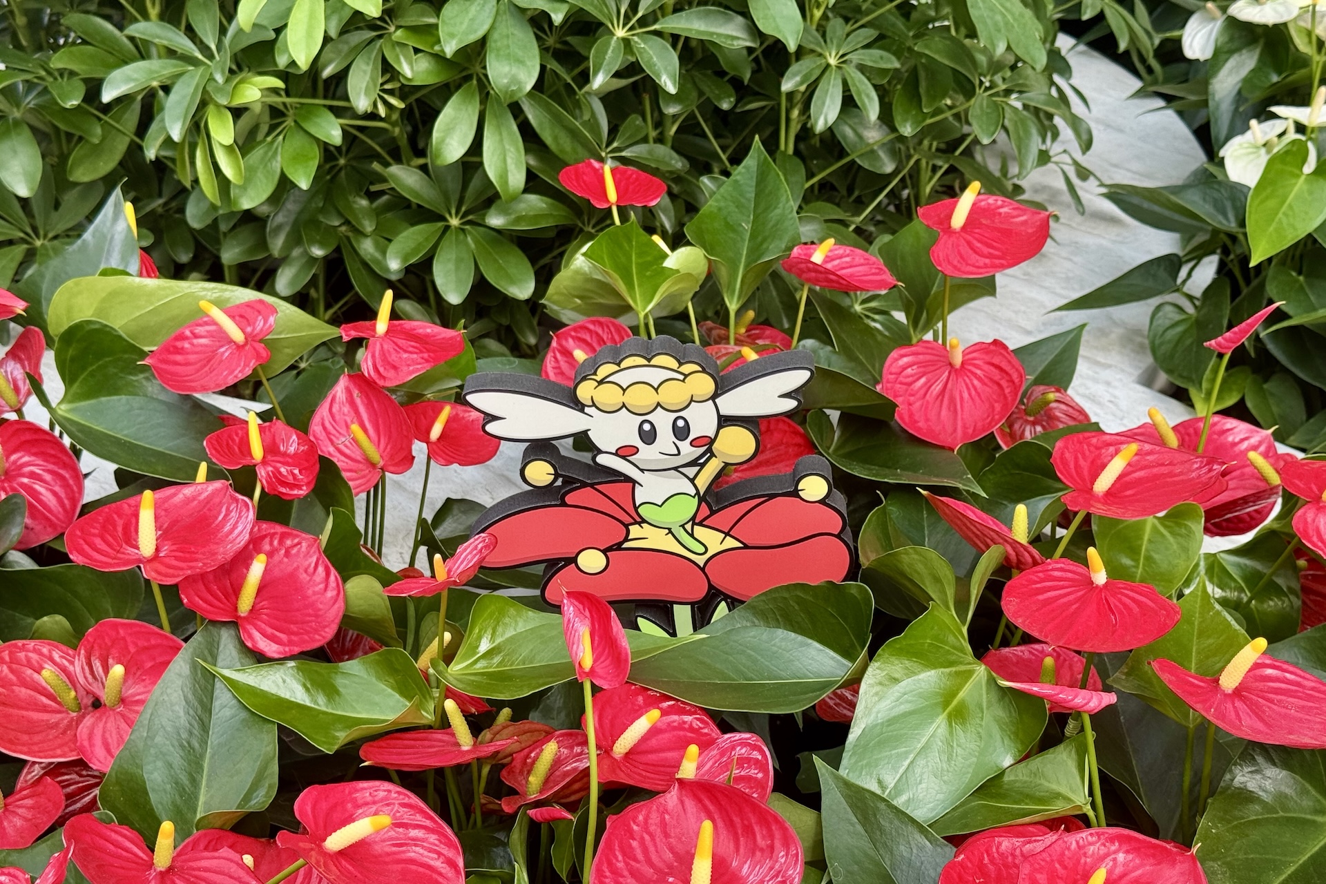 かなり難易度の高いフラベベを発見