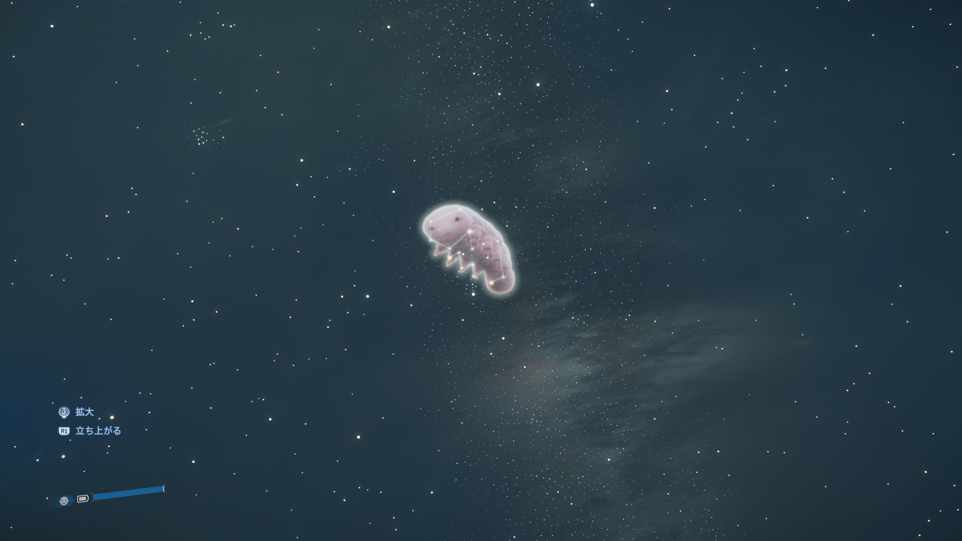 こちらは「クリプトビオシス」座。様々な星座が隠されているようだ