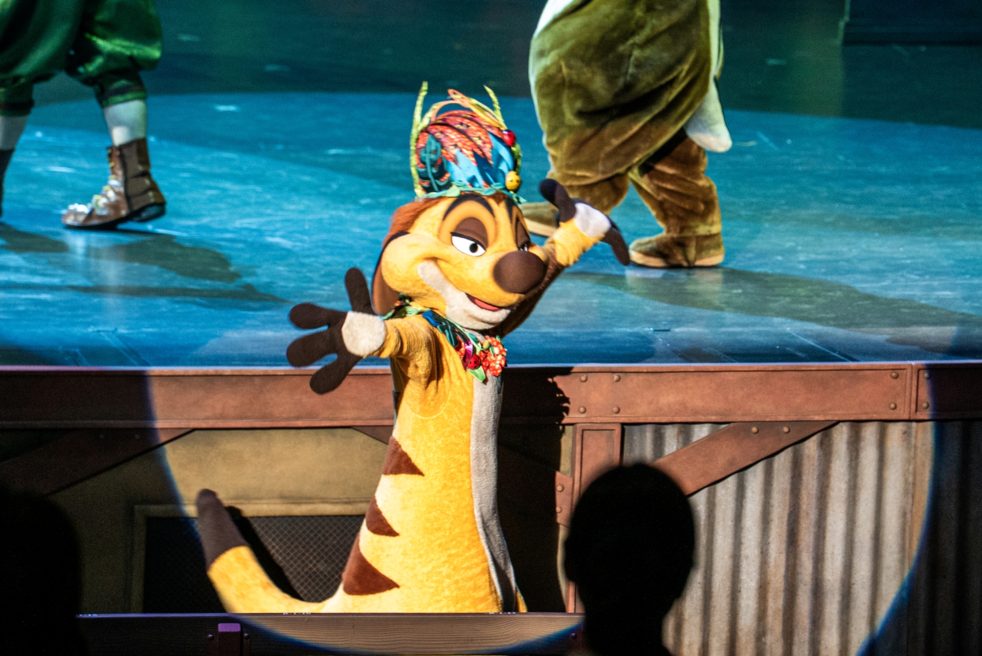 ティモンをはじめ、一部のキャストはステージを下りてくることもある