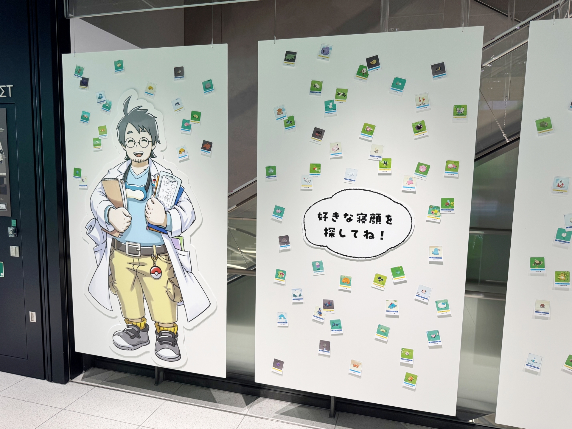 寝顔の展示コーナー