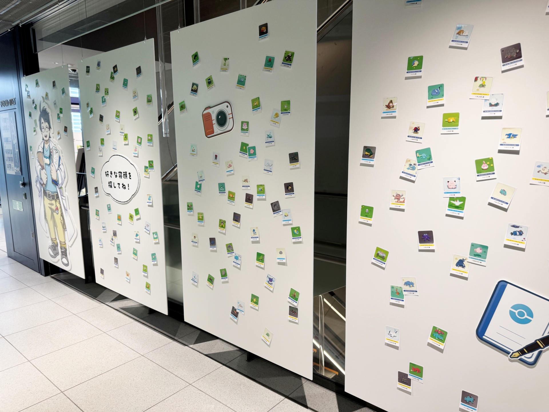 寝顔の展示コーナー