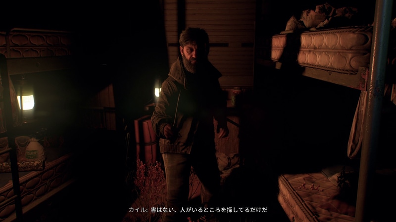 クエストを進めたり、困っている人々を助けると経験値が入手できる