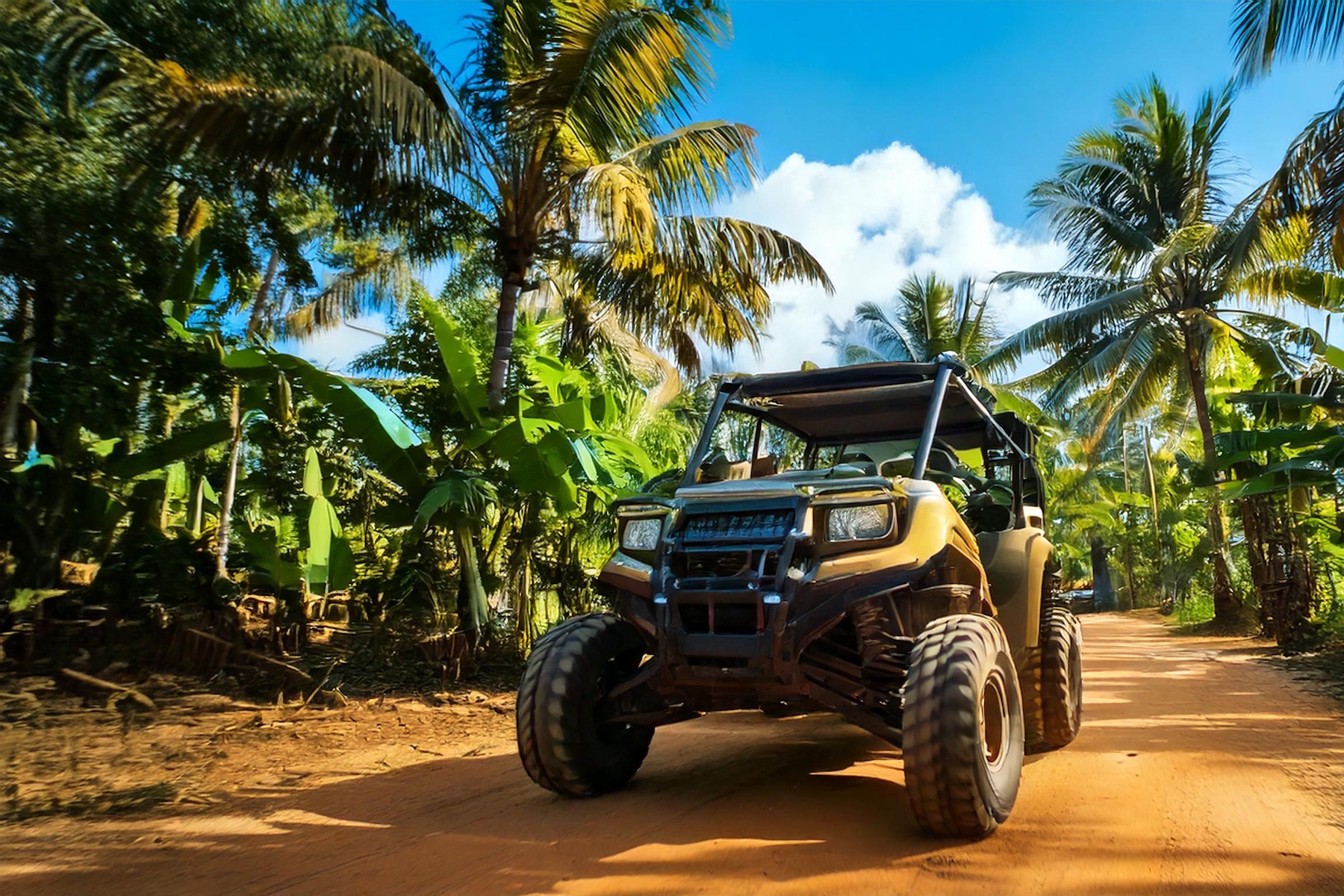 バギー ボルテージ