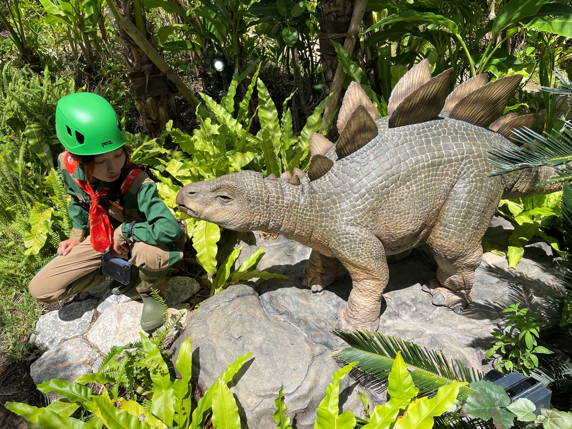 恐竜の赤ちゃんたち。それぞれに名前もある