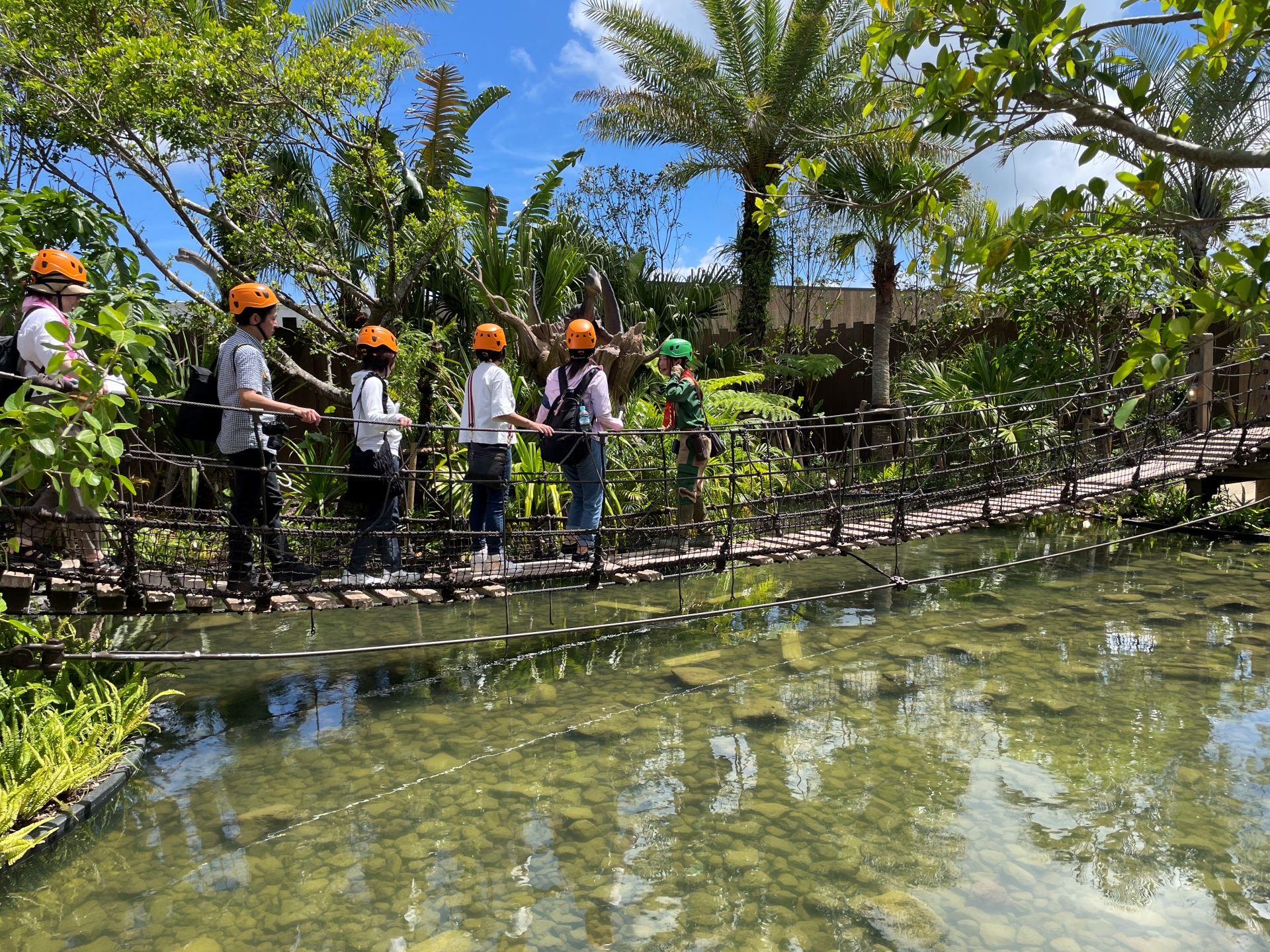 吊橋を渡っていると……