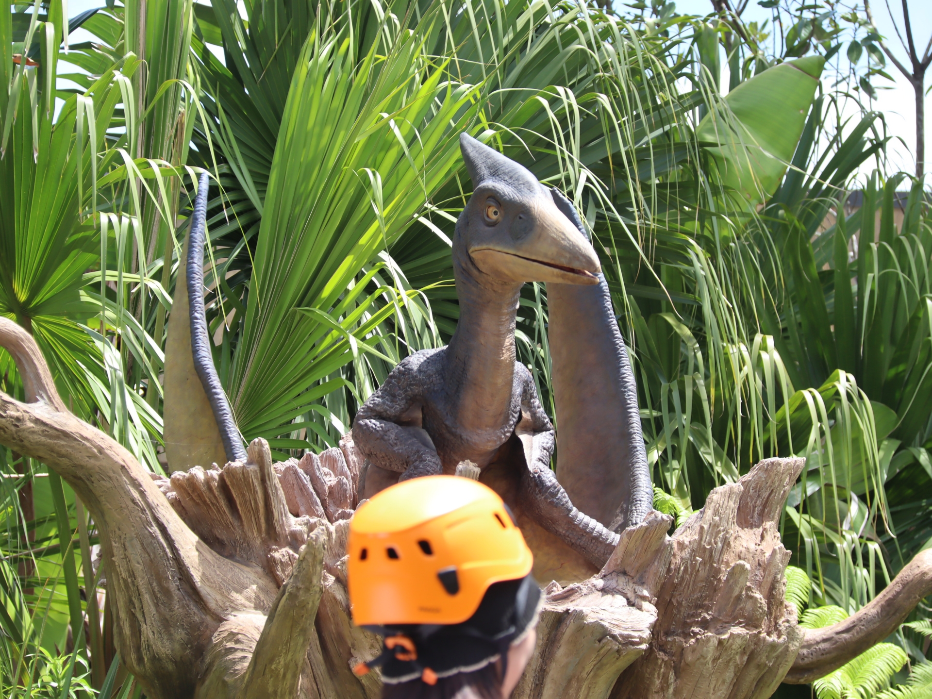 プテラノドンが真横に！