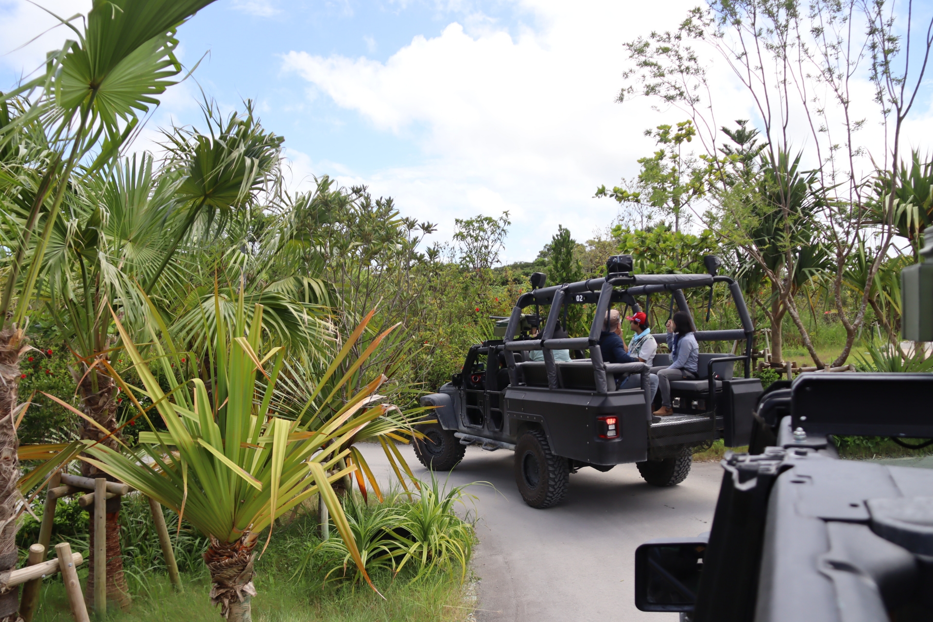 装甲車に乗り込み、草食恐竜の確認に出発！