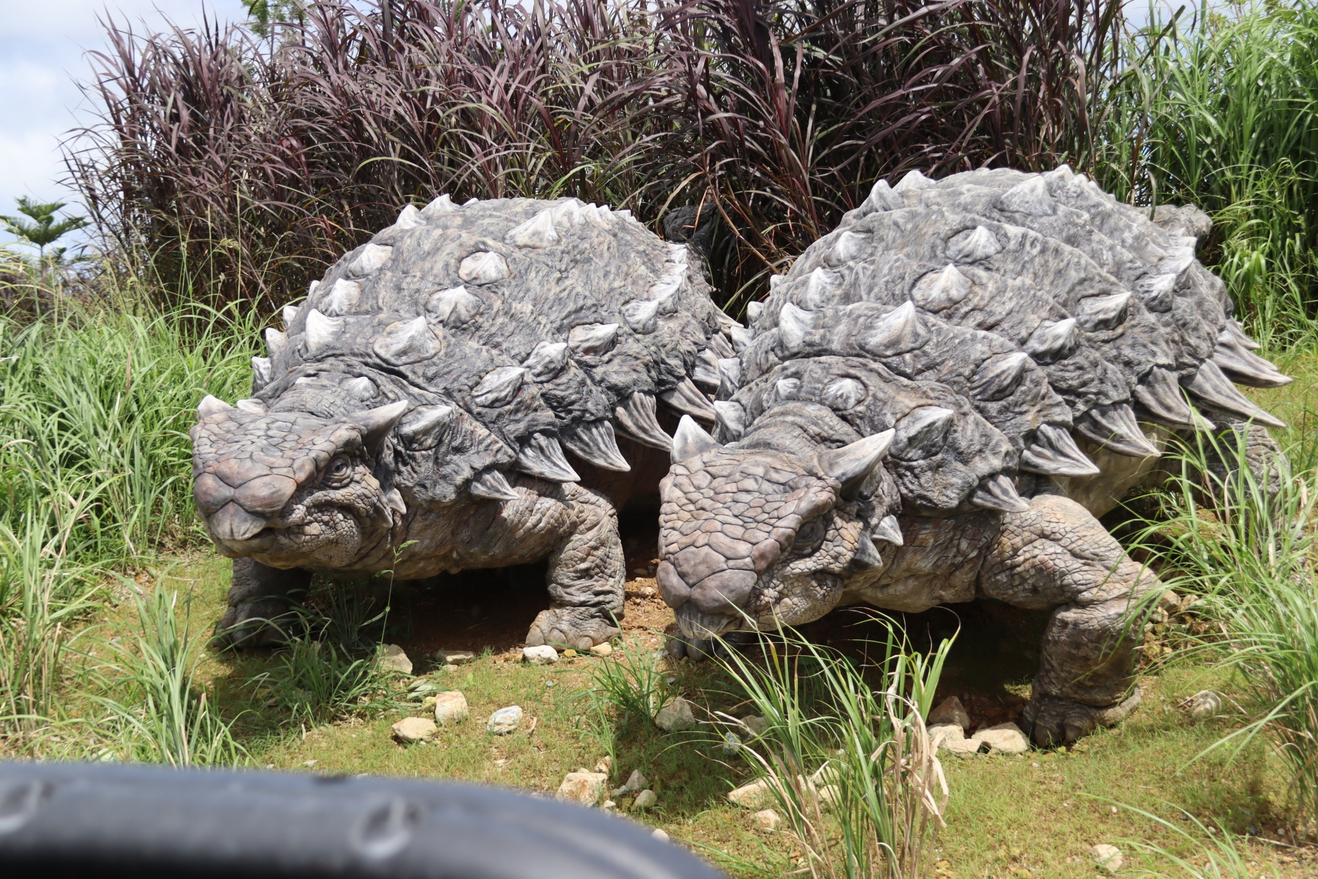 生き生きとした恐竜の姿を垣間見られる