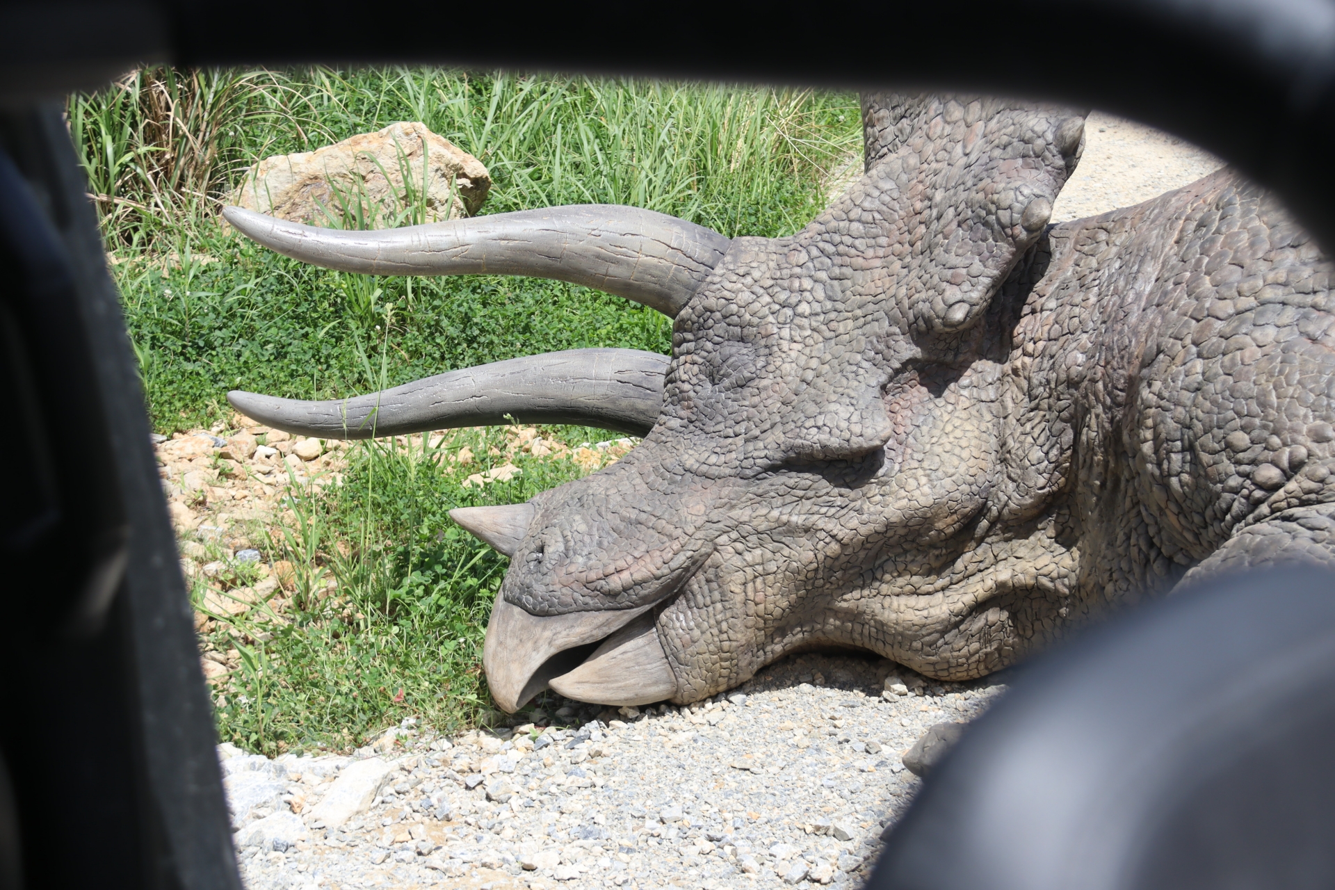 生き生きとした恐竜の姿を垣間見られる