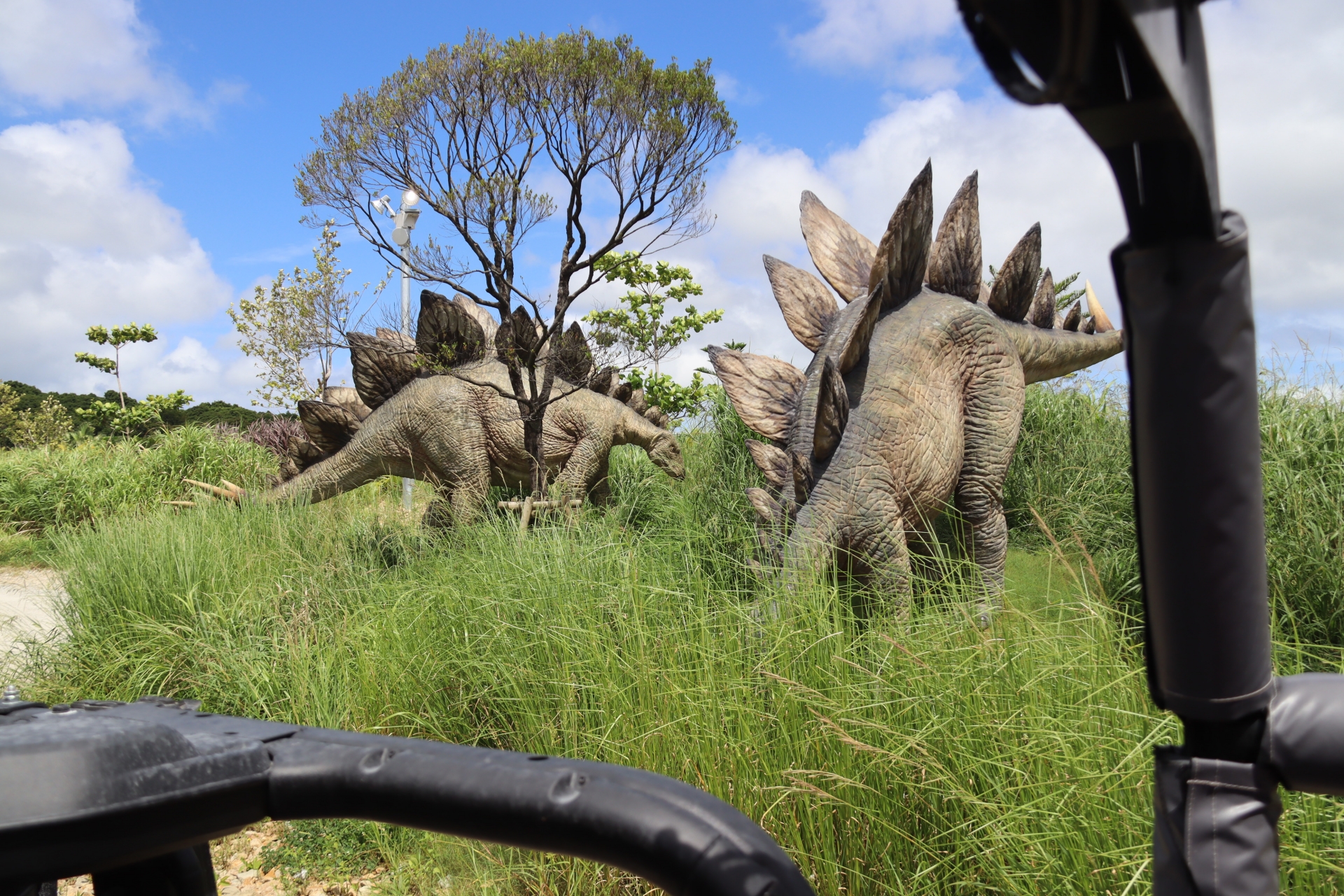 生き生きとした恐竜の姿を垣間見られる
