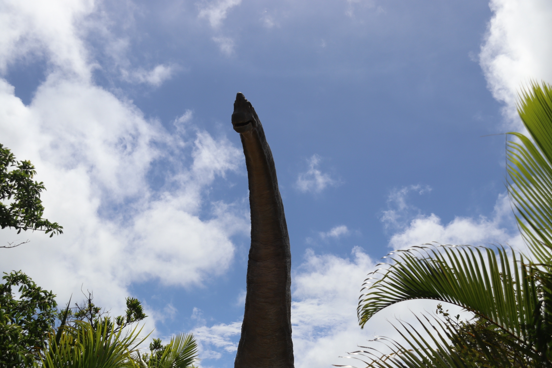 最初のクライマックスとなる巨大なブラキオサウルス。間近で見ると本当にでかい