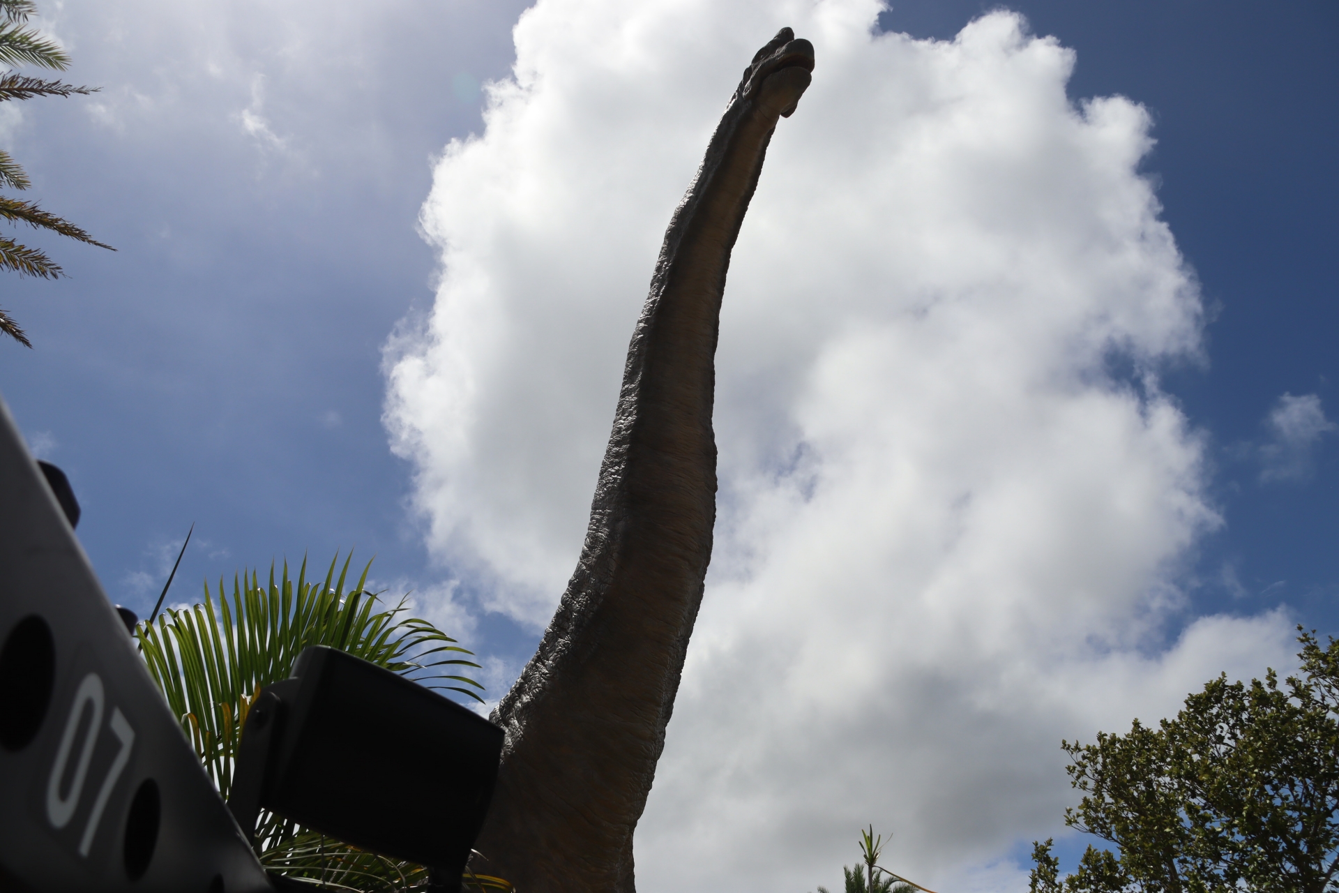 最初のクライマックスとなる巨大なブラキオサウルス。間近で見ると本当にでかい