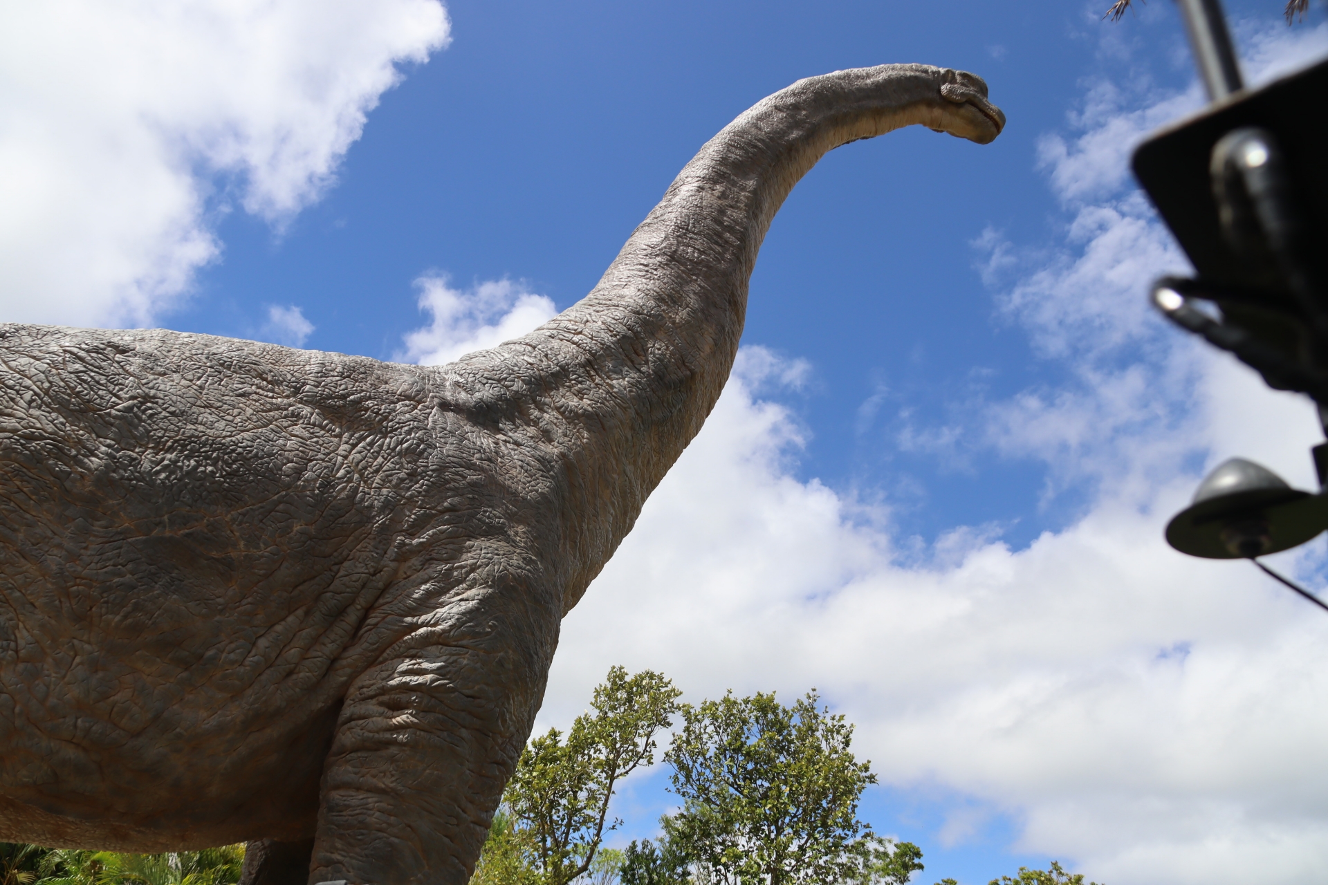 最初のクライマックスとなる巨大なブラキオサウルス。間近で見ると本当にでかい