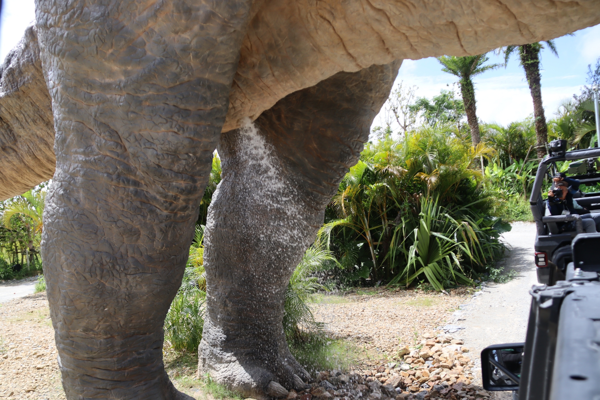 足元をくぐり抜けようとすると……あー！！！！