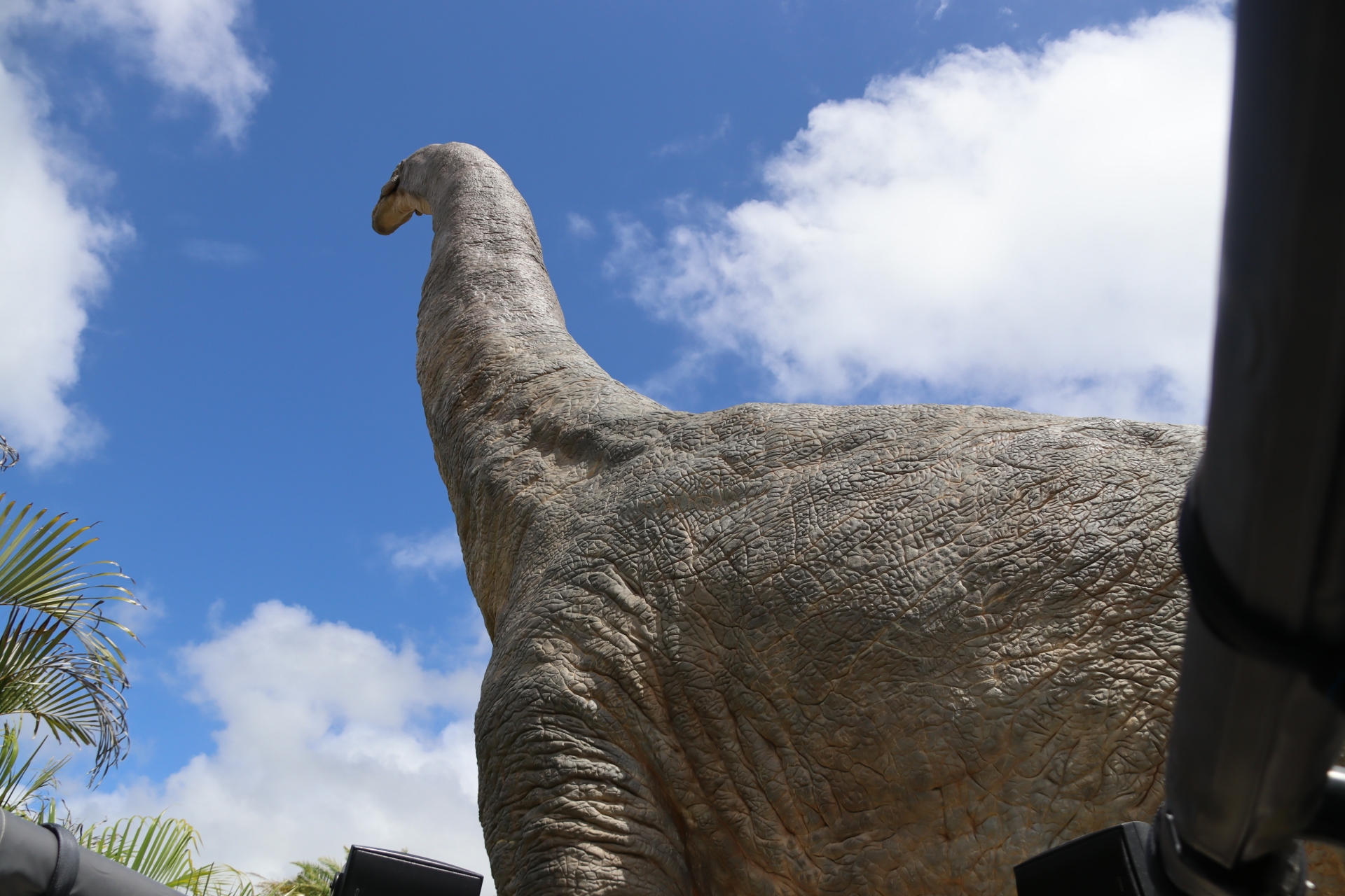 足元をくぐり抜けようとすると……あー！！！！