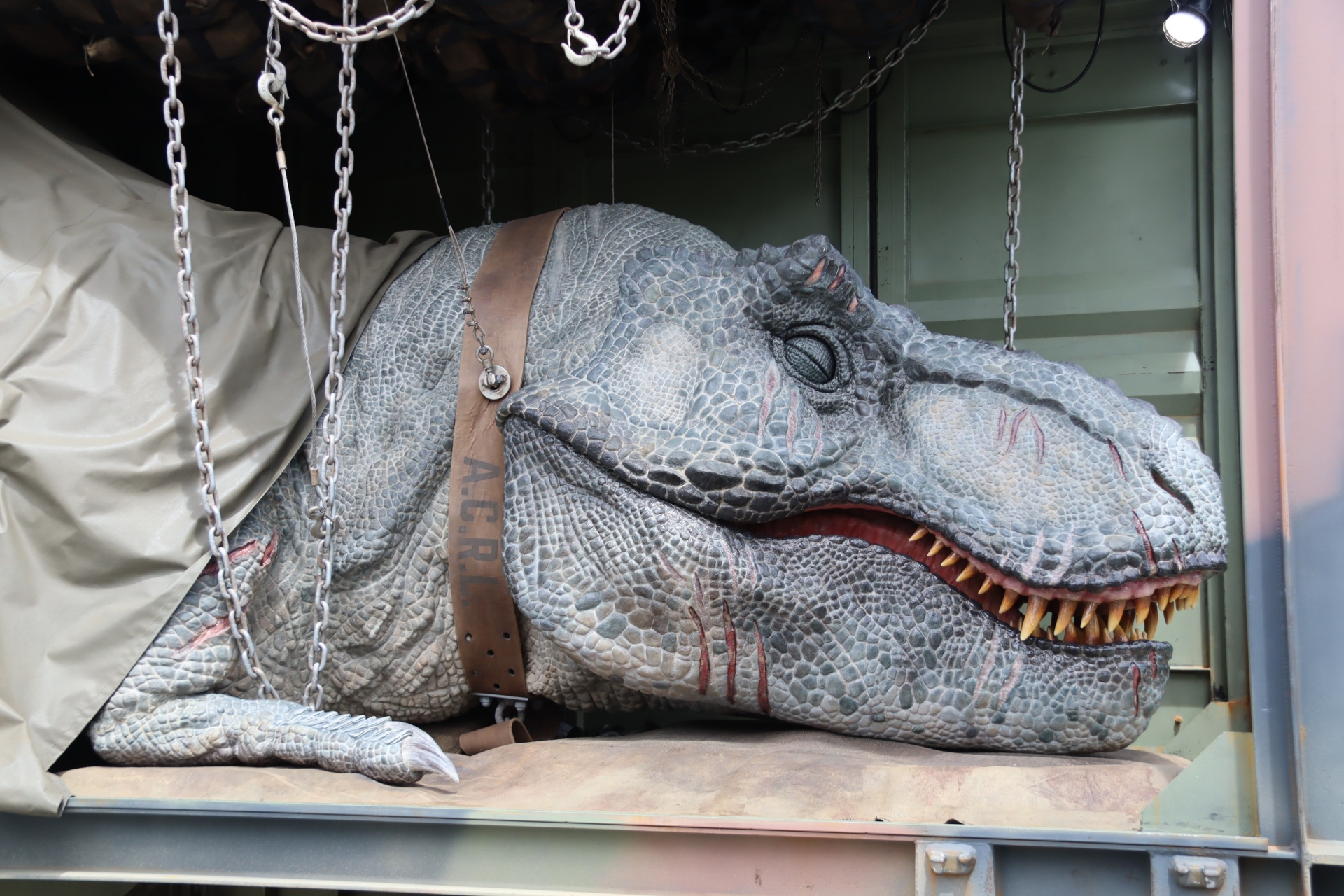 アトラクションの最後には、別個体のT-REXがいる。「麻酔で眠っているから安全ですよ」「安全です」「近づいても大丈夫です」と何度も言われながら、近くによっての記念撮影タイムがはじまる