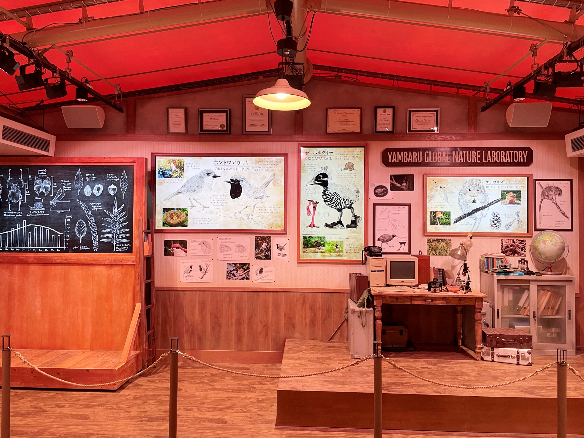 プレショーにて博士登場。やんばるの森の生き物について説明しようとしてくれる