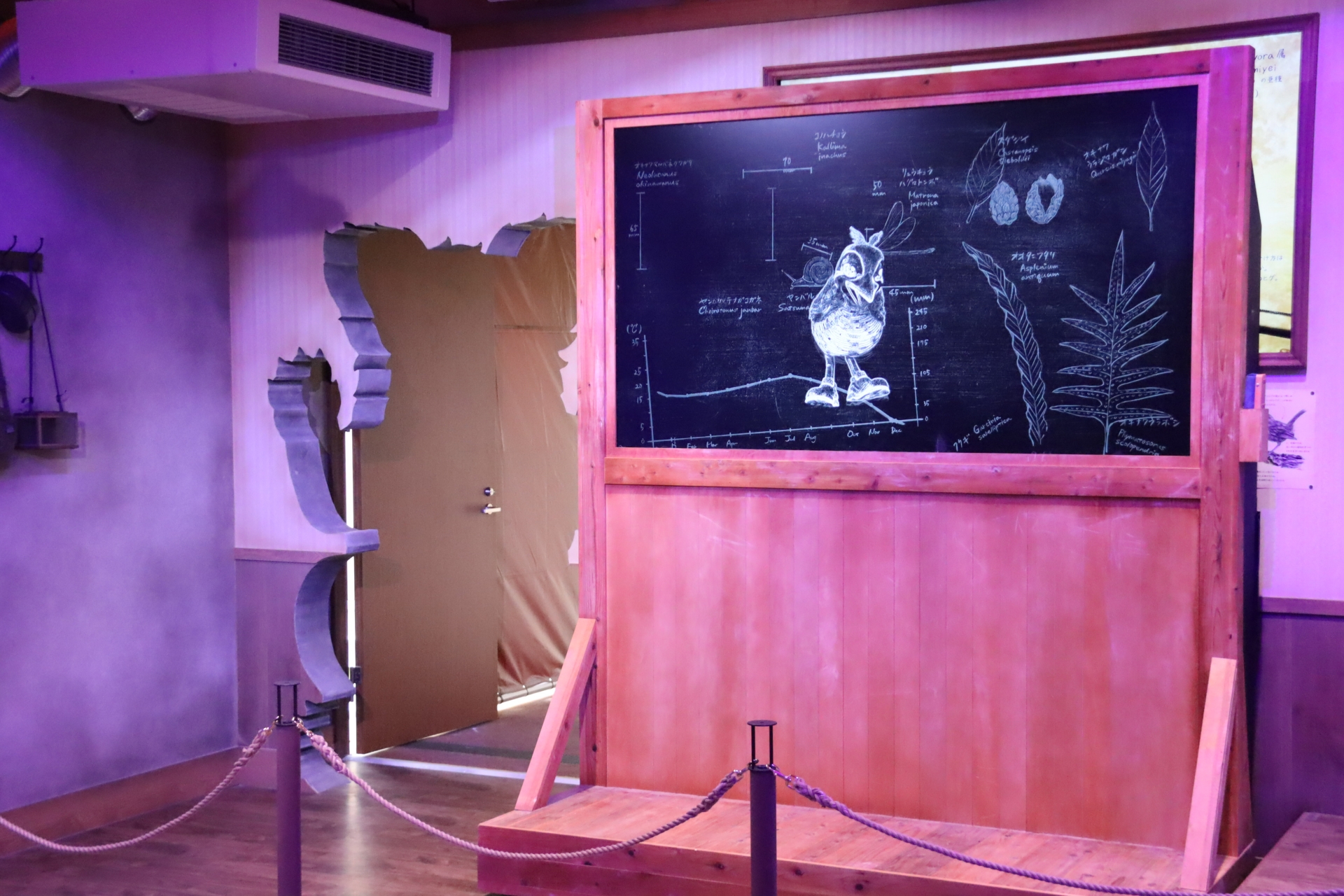 ヤンバルクイナは「ジャン」だと名乗った。森へ案内してくれるという