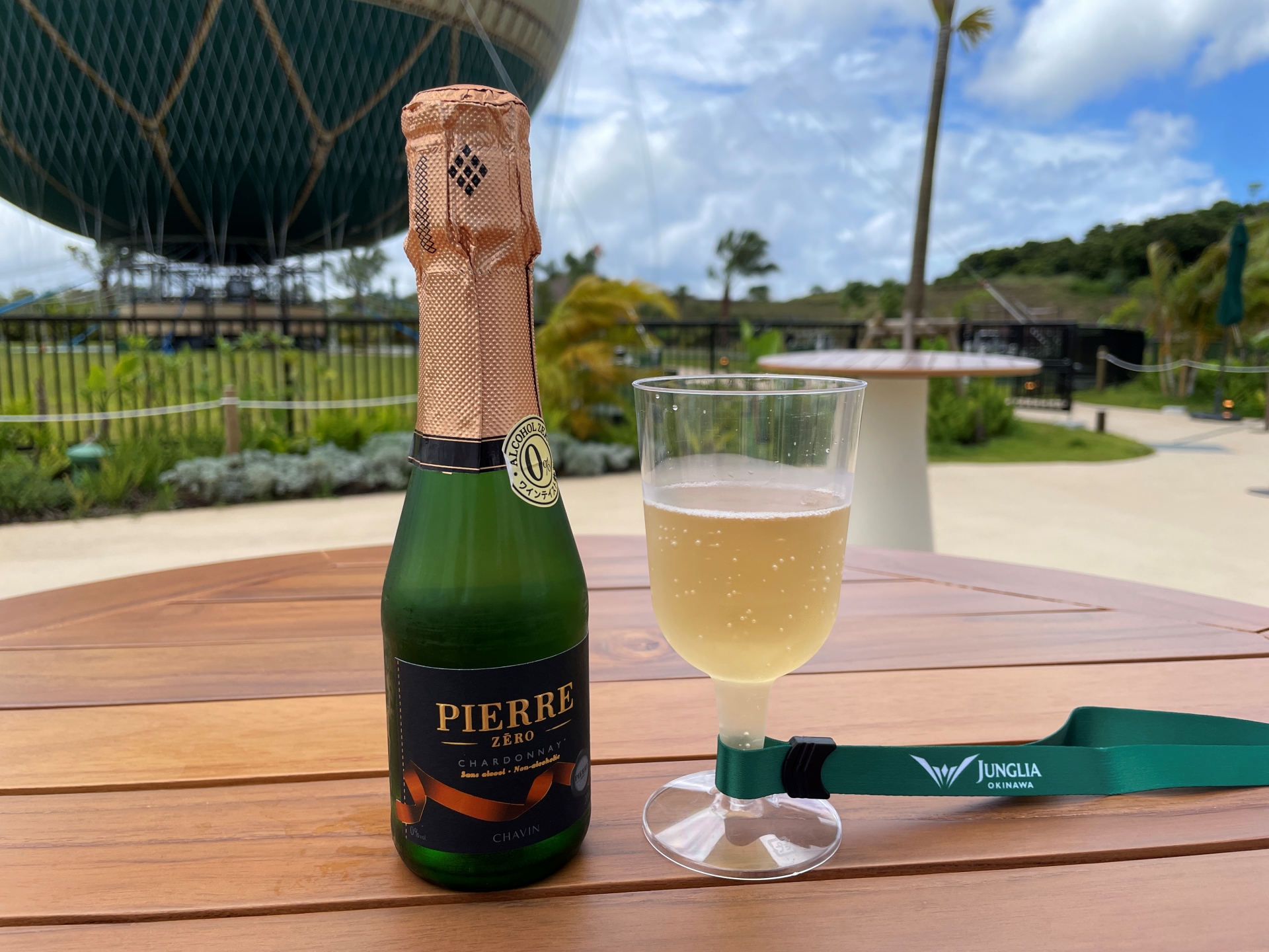 気球に乗りながら、スパークリングワインで乾杯することができる