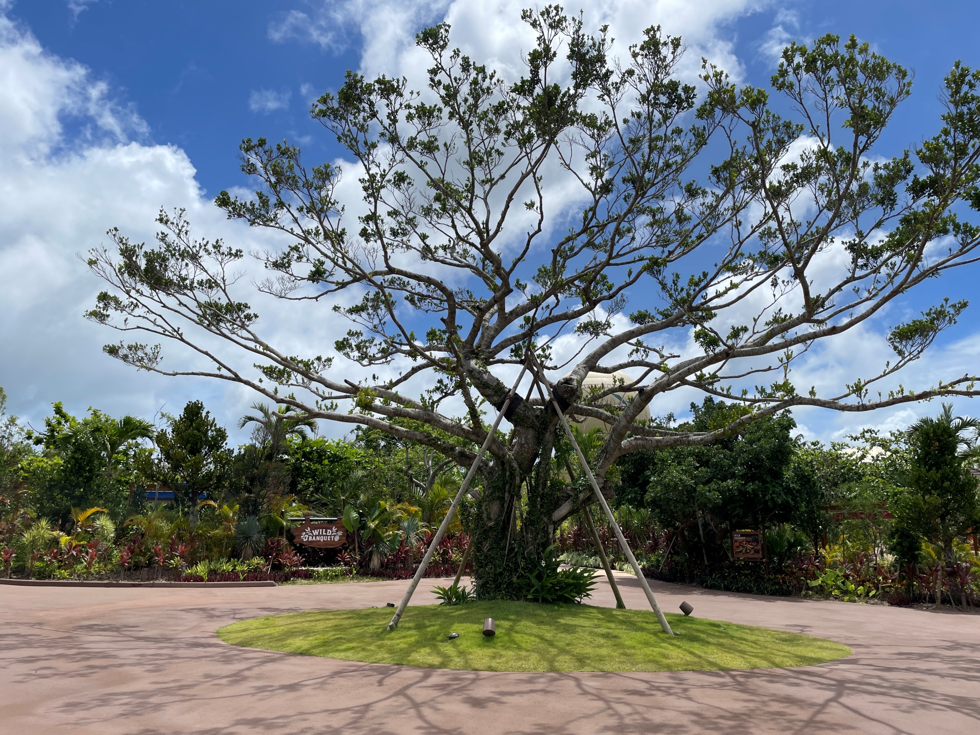 晴れていても、突然天気が変わる場合もある