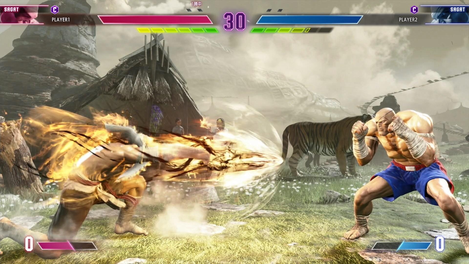 「グランドタイガーショット」は弾速遅めの1種類のみ