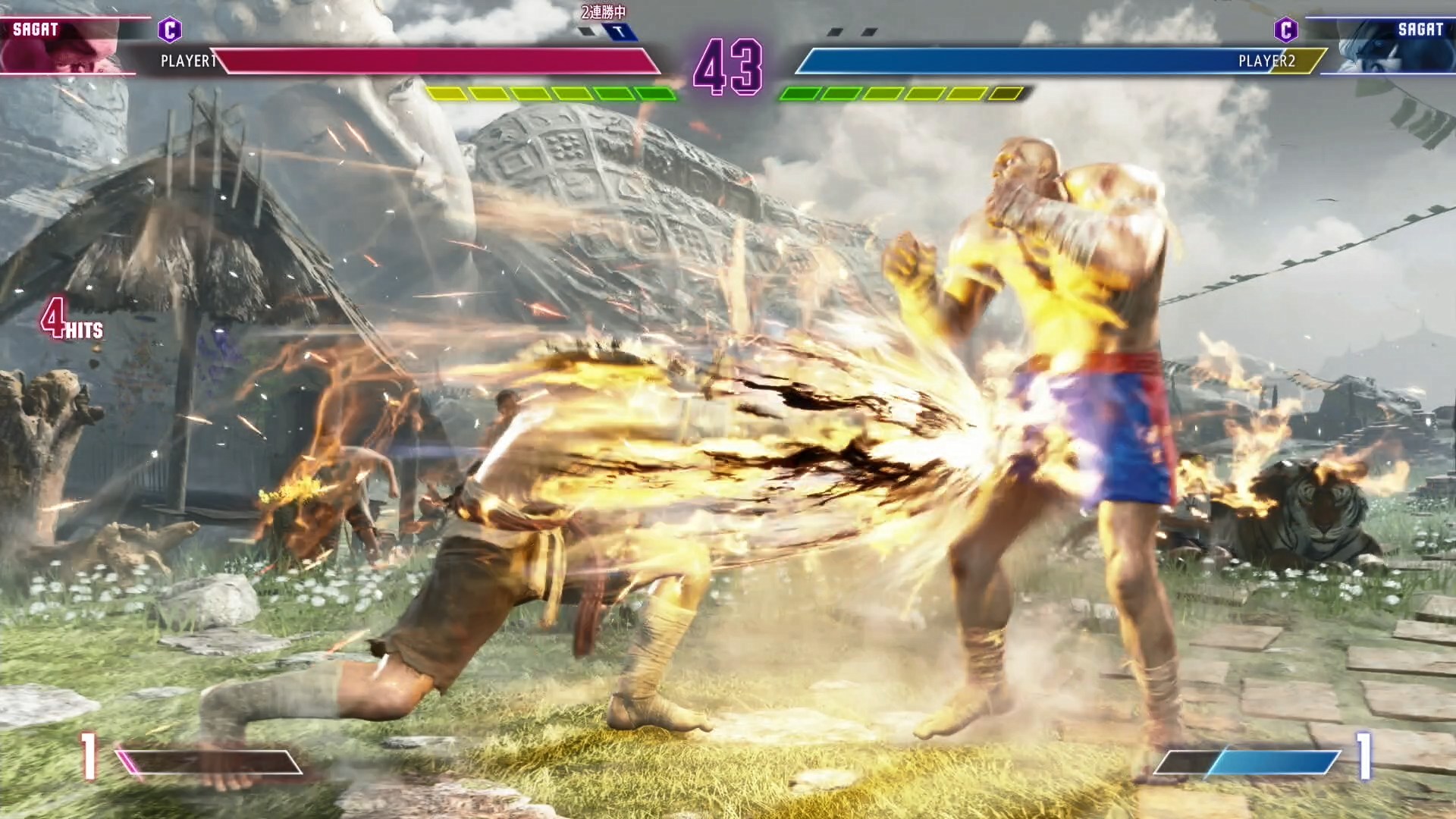 多段ヒットもするスーパーアーツの「タイガーキャノン」はコンボの締めなどで使いやすそうな技となっている