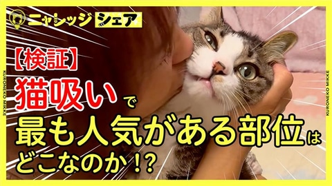 動画のサムネイル