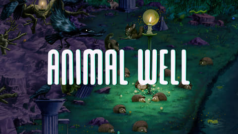 ANIMAL WELL