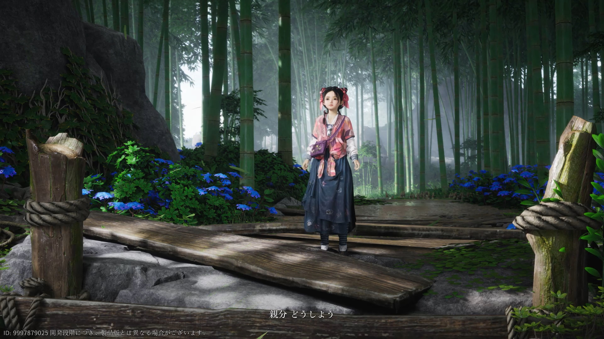 長馴染みで女侠を目指しているホンシェン