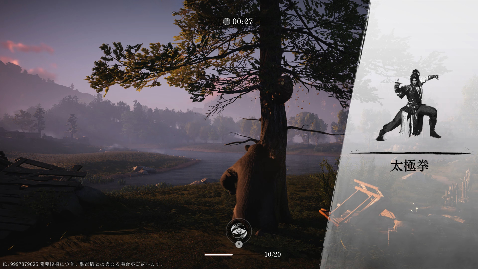 太極拳を使う熊