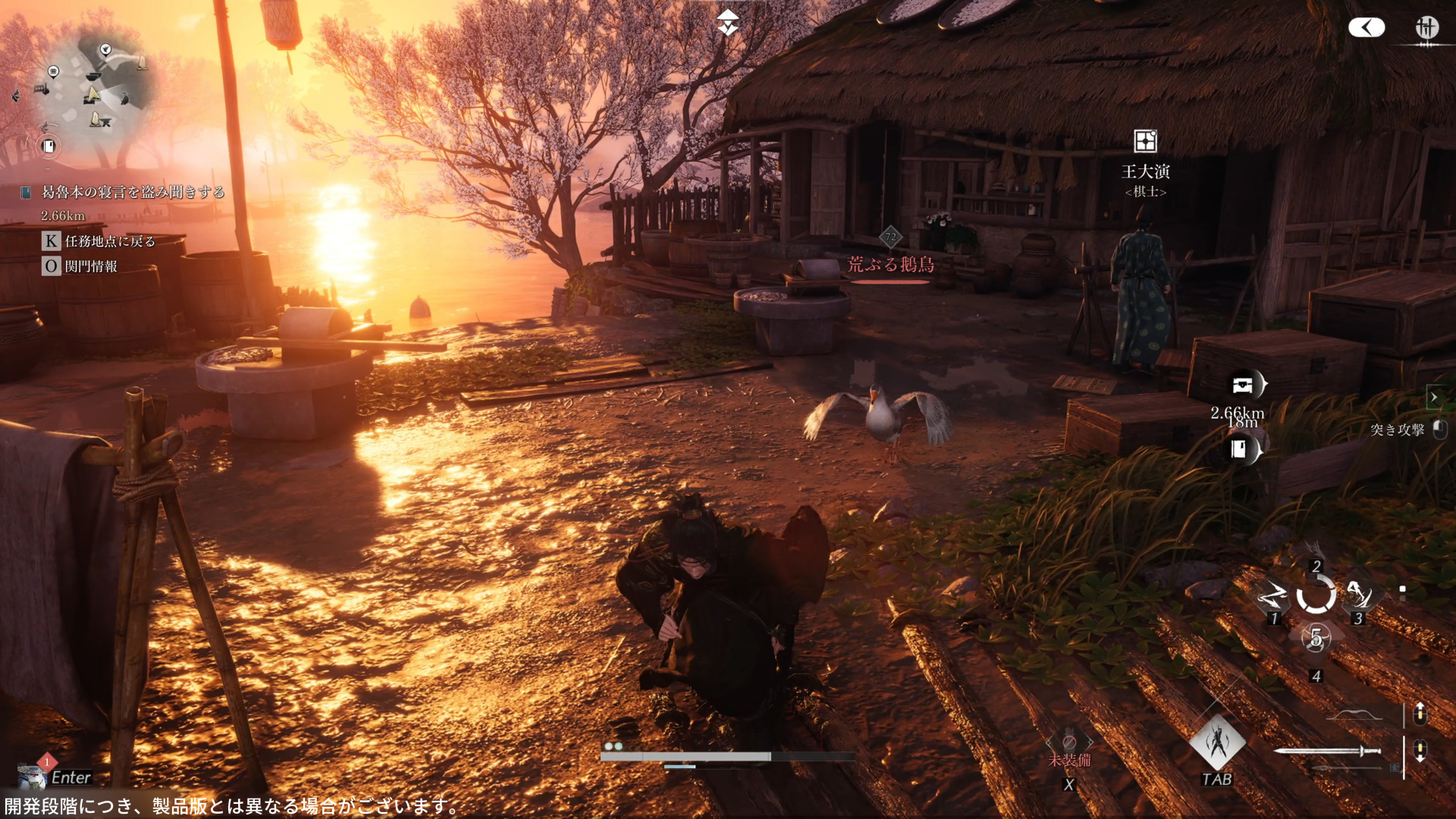 やたらと強い白鳥