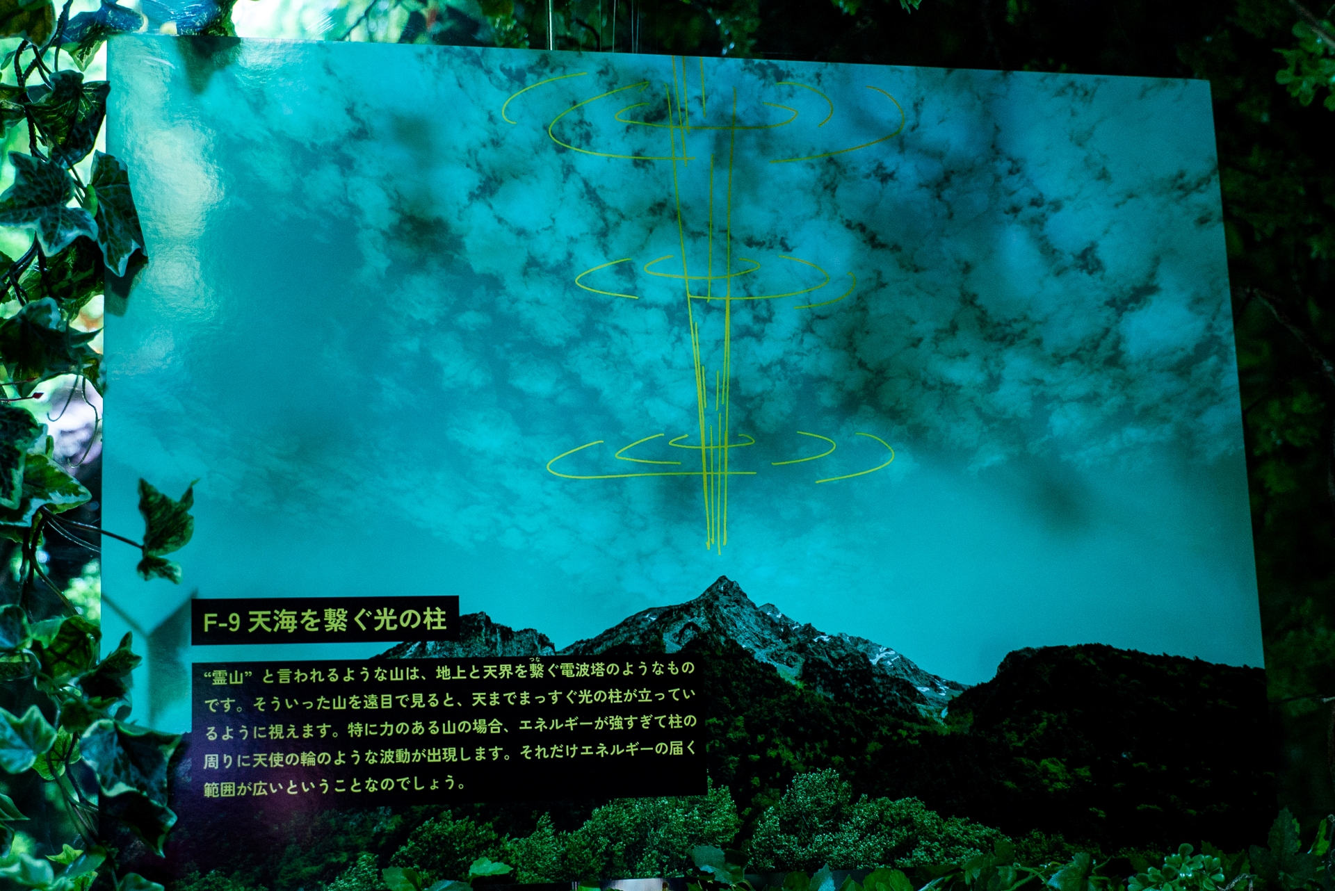 写真でいろいろ解説も読める