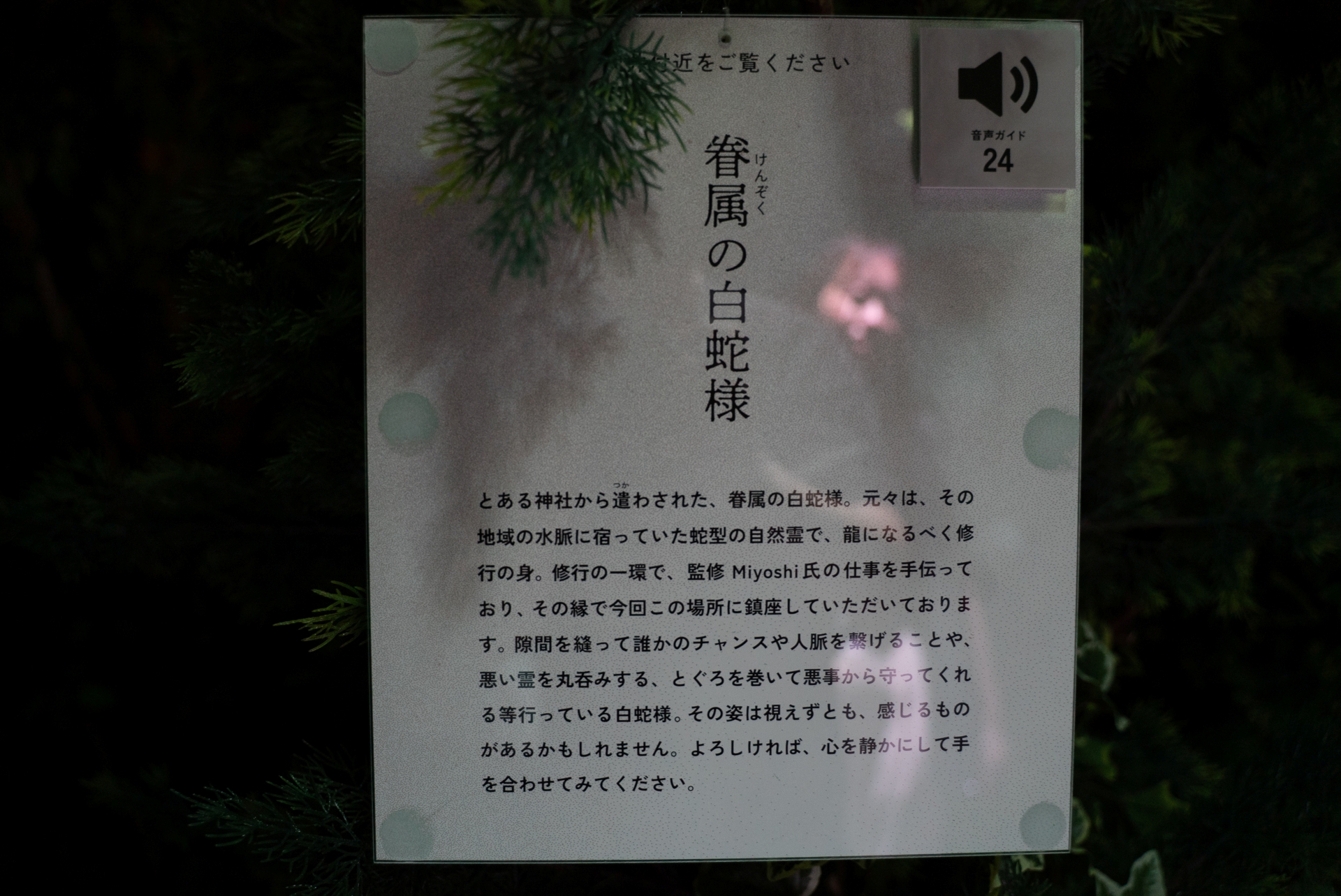 実は裏側には白蛇様の……