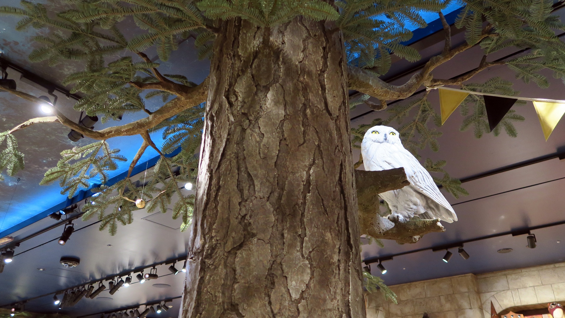 バックビークやフクロウが出迎え。まるで練馬区のエンターテイメント施設「スタジオツアー東京」に来たような没入感を感じることができる