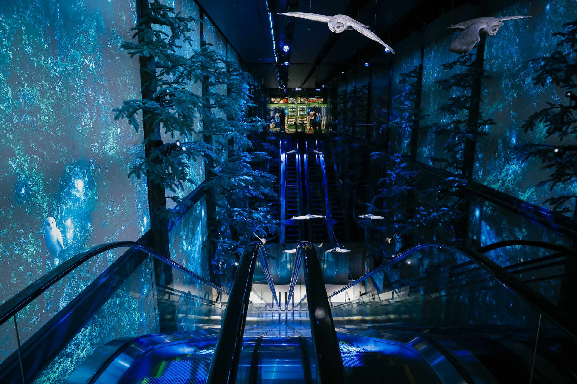 1階から2階へと続くエスカレーターではフクロウたちが頭上を舞い、まるで深い森の奥をゆっくりと進んでいるかのようだ