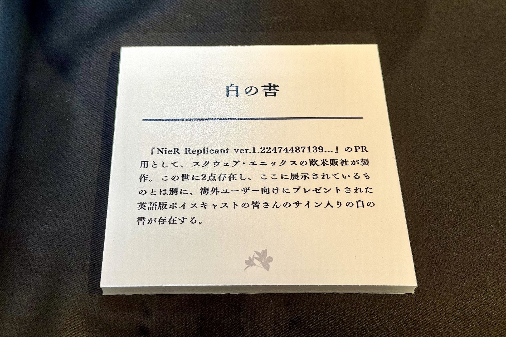 白の書。立体的に間近で見られるのは感動もの