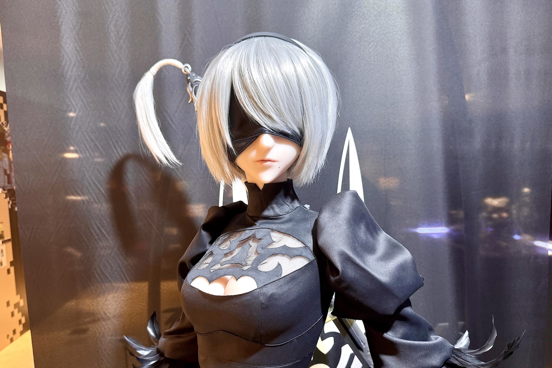 さまざまな角度からじっくり眺めることができる