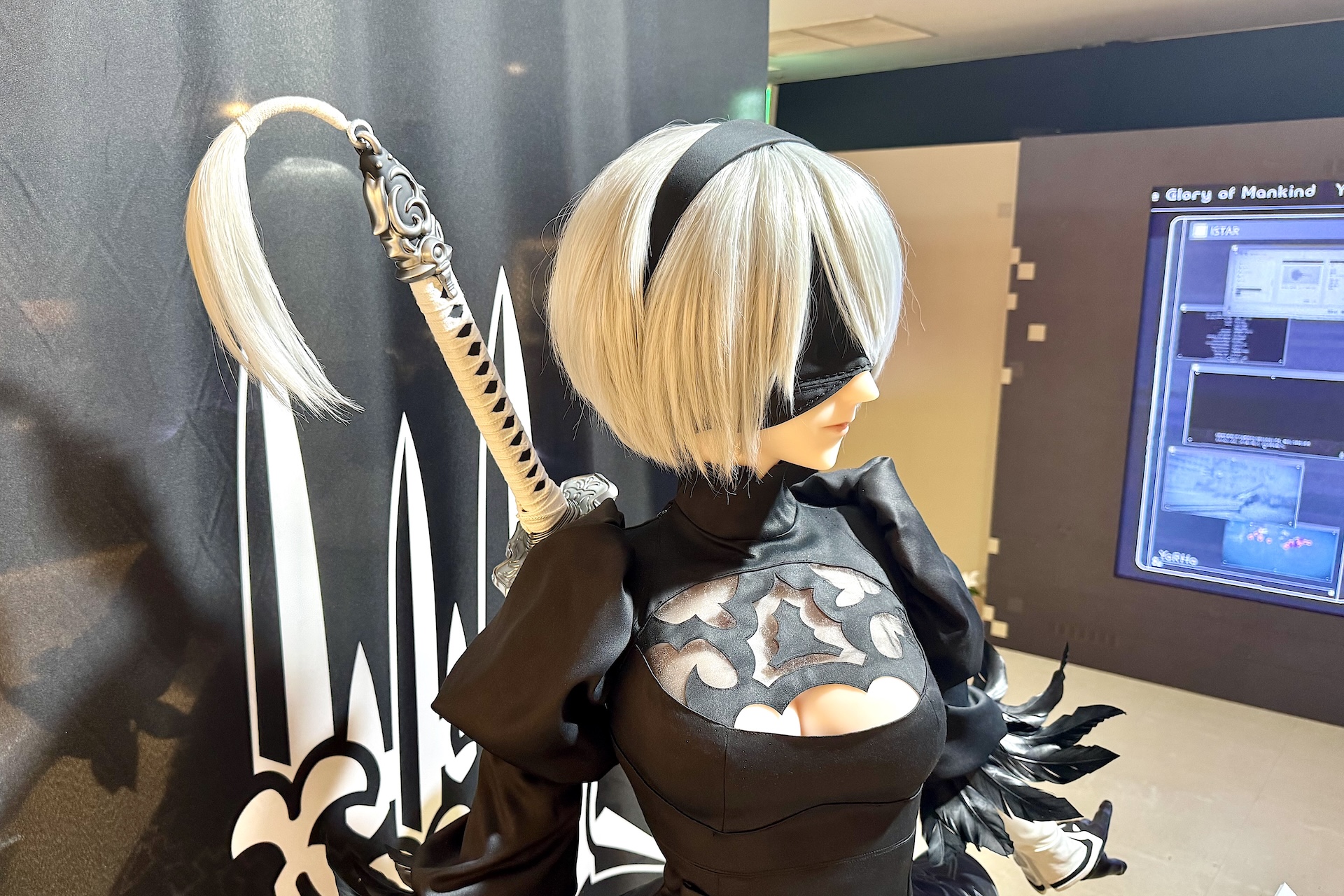 さまざまな角度からじっくり眺めることができる