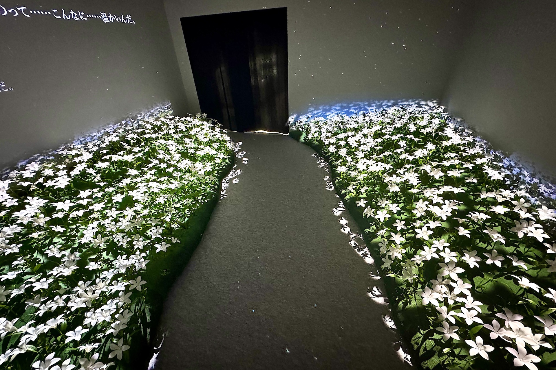 会場の最後に現れたのは……？ ぜひ自身で体験していただきたい