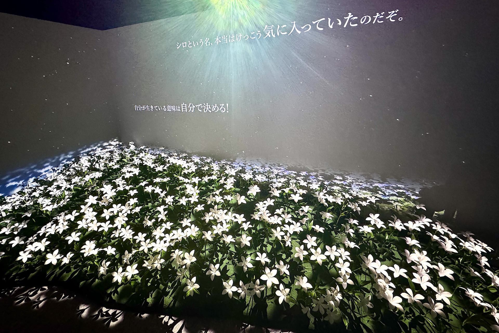 会場の最後に現れたのは……？ ぜひ自身で体験していただきたい