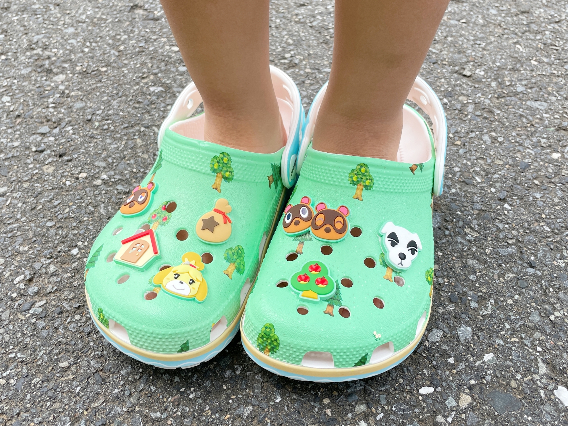 家族に協力しもらって撮影。「かわいい！」と大好評だった。コンクリートの上だと特徴的な緑色がよく映える。