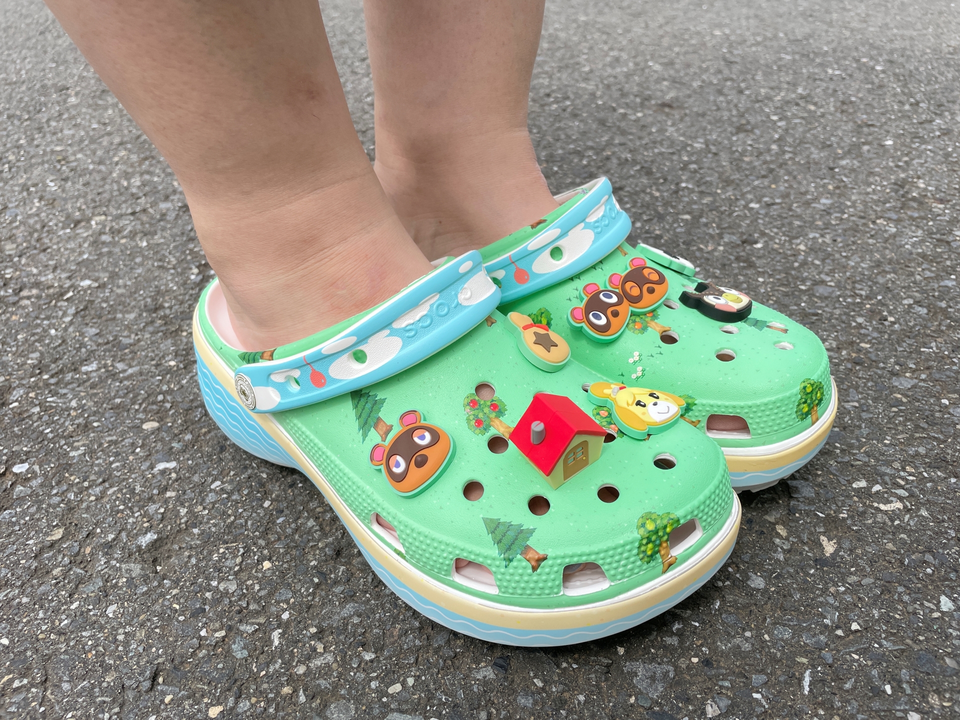 家族に協力しもらって撮影。「かわいい！」と大好評だった。コンクリートの上だと特徴的な緑色がよく映える。