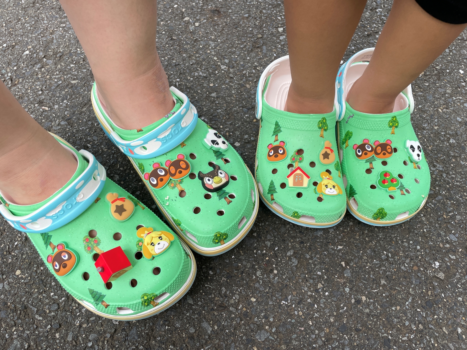 家族に協力しもらって撮影。「かわいい！」と大好評だった。コンクリートの上だと特徴的な緑色がよく映える。