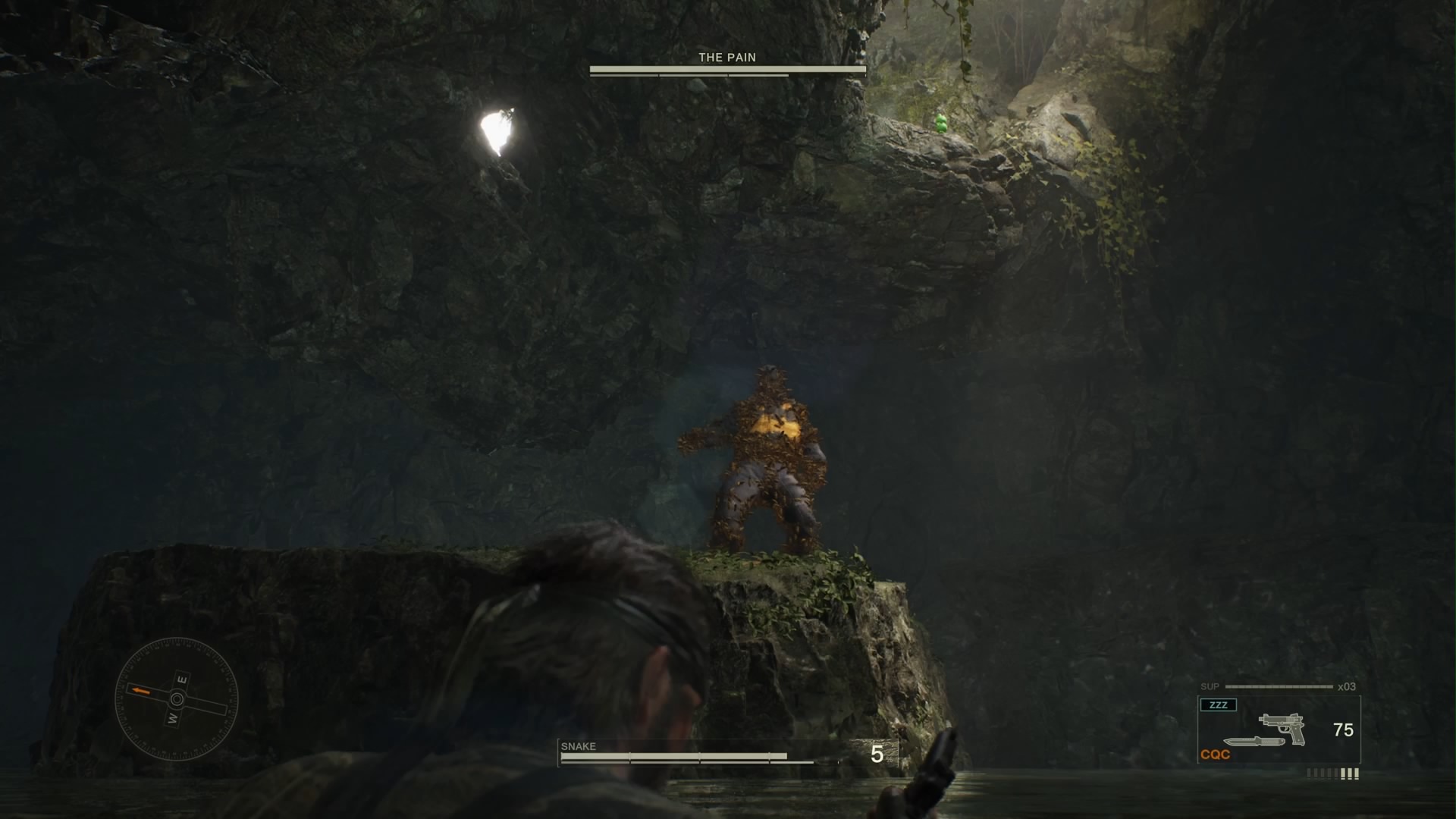 蜂を操るザ・ペイン戦。グレネードなどの爆発物を投げ、蜂ごと吹き飛ばしてやろう