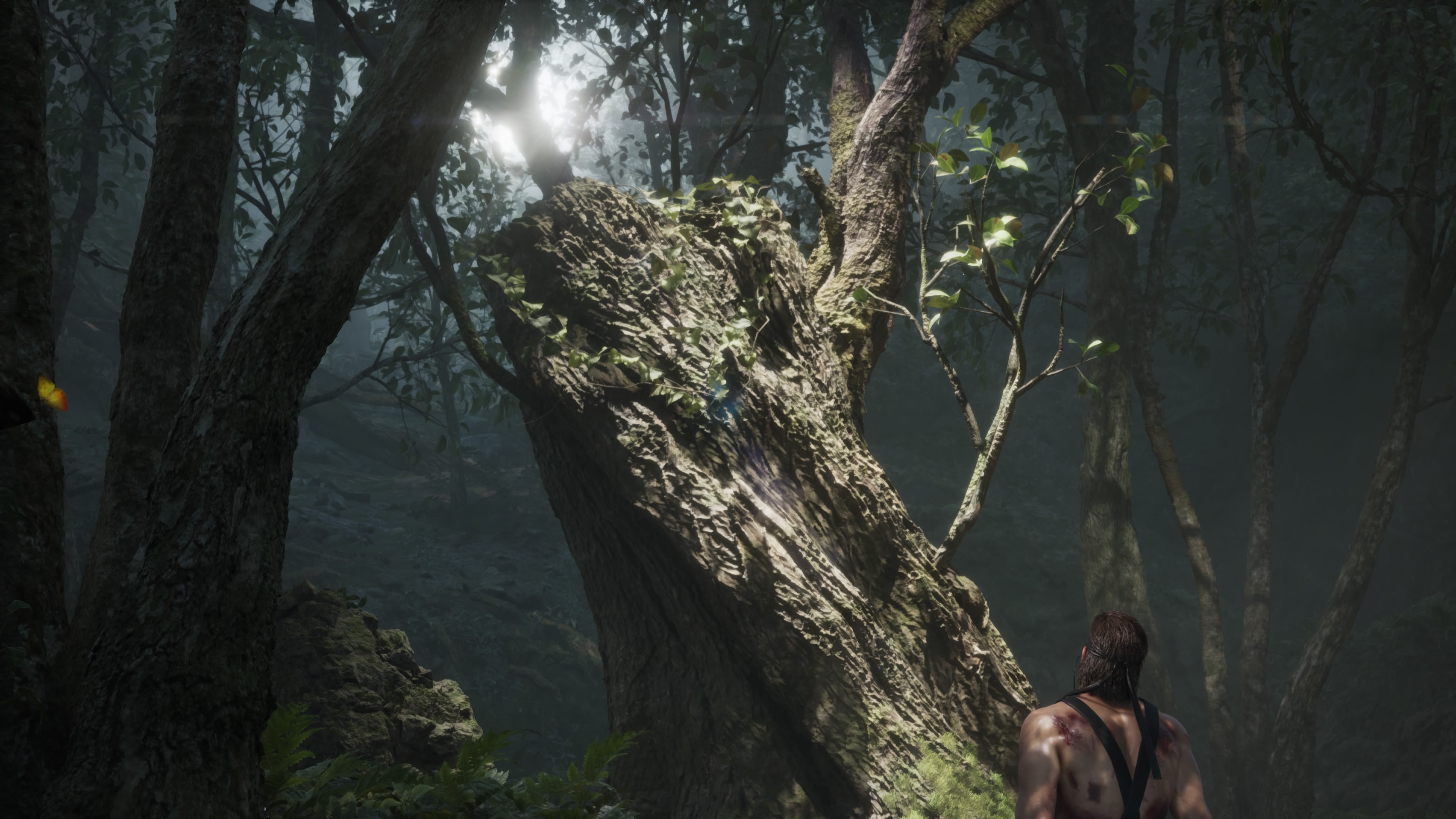 木々やジャングル、水源などの表現も美麗。リアルに描かれた自然は、よりプレーヤーの前に立ち塞がってくる様だ