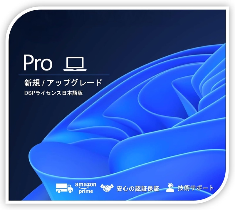 【Windows11 Pro】 DSPライセンス日本語版