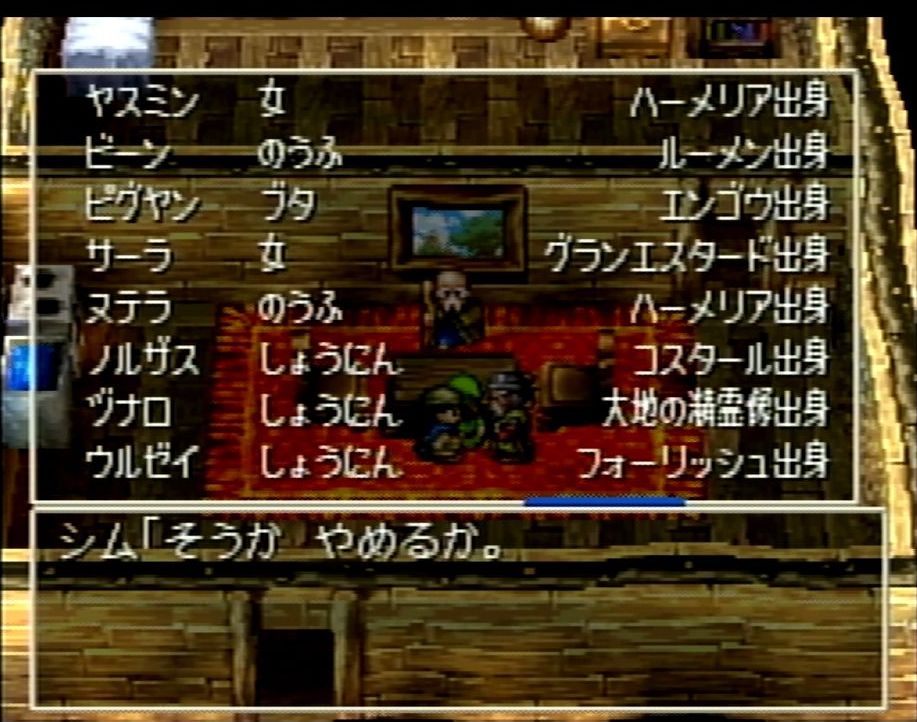 移民の町は住民を多く集めることで巨大化し、やがて高価な武器や防具を売る店もオープンする