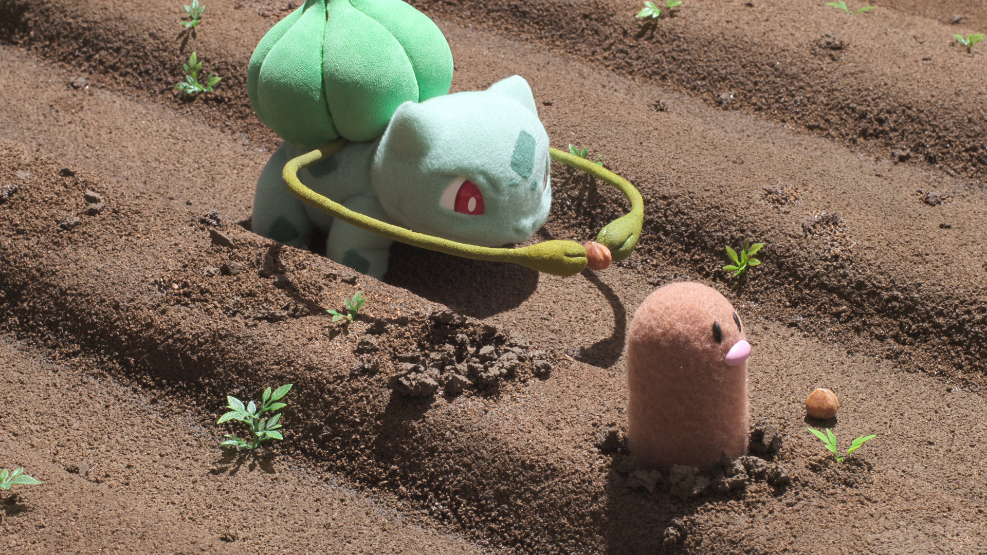 畑に種を植えるフシギダネ、ディグダ